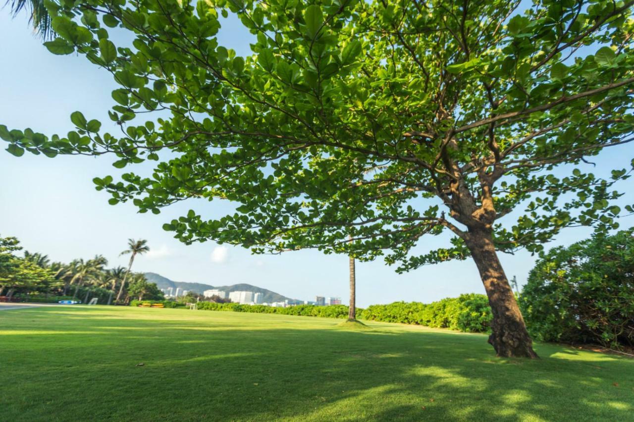 Vila Banyan Tree San-ja Exteriér fotografie